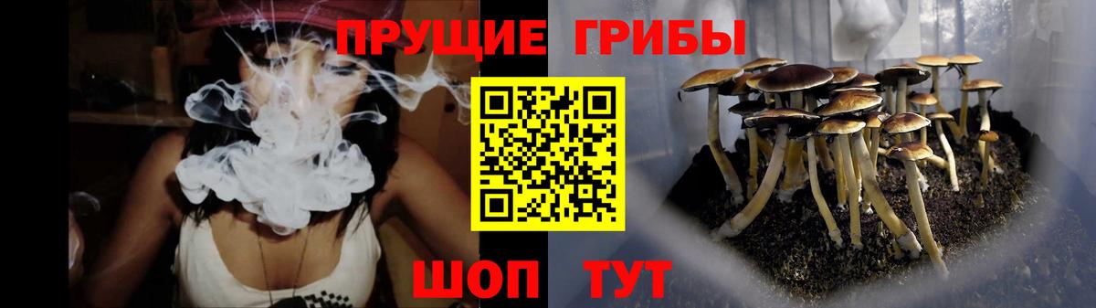Галлюциногенные грибы мицелий  Вход с VPN  купить  цена  Осинники  Псилоцибиновые грибы мицелий 